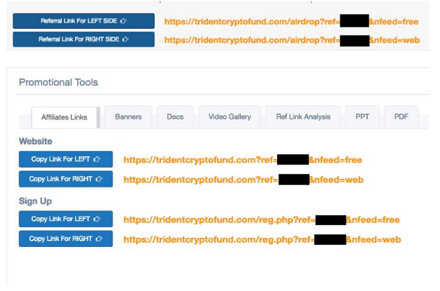 trident crypto fund steps.png