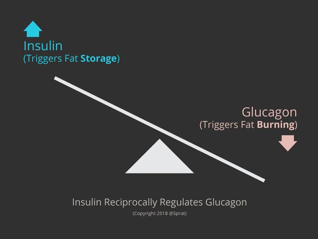 InsulinvsGlucagon.jpg