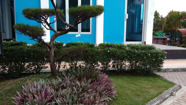IMG_20180415_154701.jpg