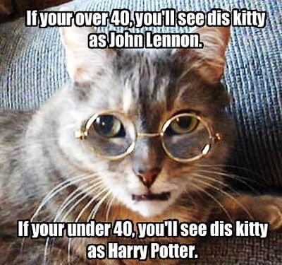 If-Your-Over-40-You-Will-See-This-Kitty-As-John-Lennon-Funny-Cat-Meme.jpg