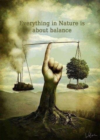 everything-in-nature-is-about-balance-quote-1.jpg