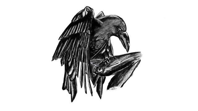 crow resize 1080.png