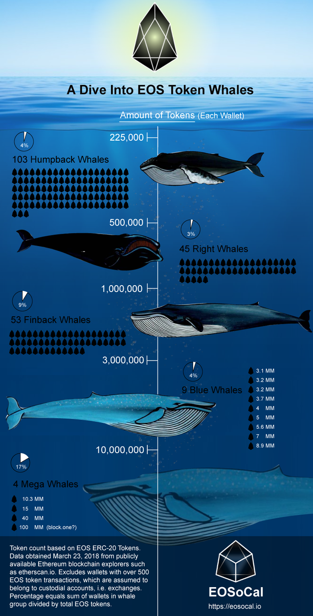 eos-whales-inforgraphic.png