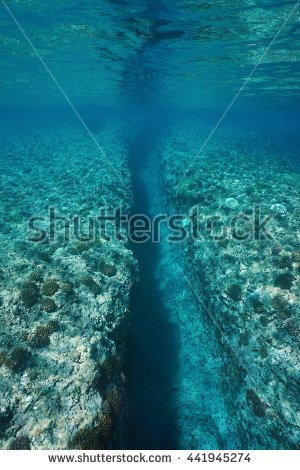 stock-photo-underwater-landscape-trench-carved-by-wave-swell-into-the-coral-reef-at-huahine-island-pacific-441945274.jpg