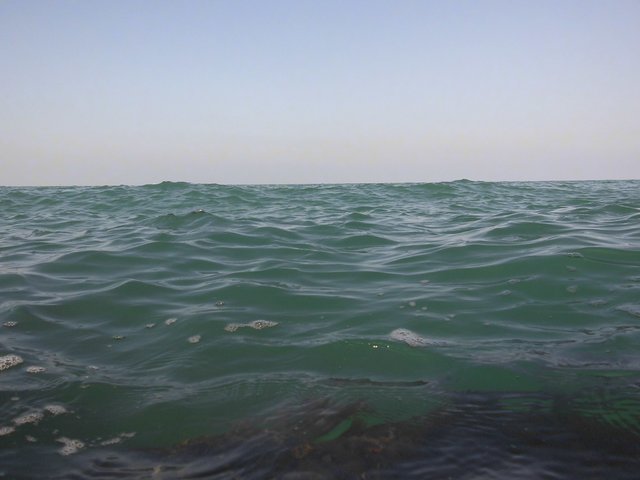 CIMG0342.JPG