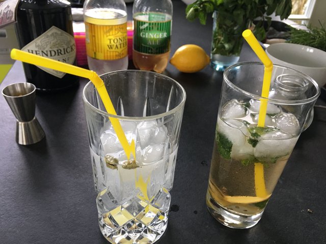 Gin Tonic on Steemit - A How To by Detlev (23).JPG