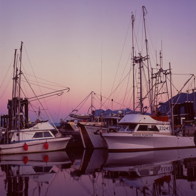 tofino_film_hasselblad-9.jpg