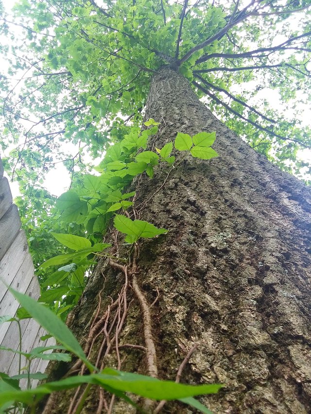 20180515_152311.jpg