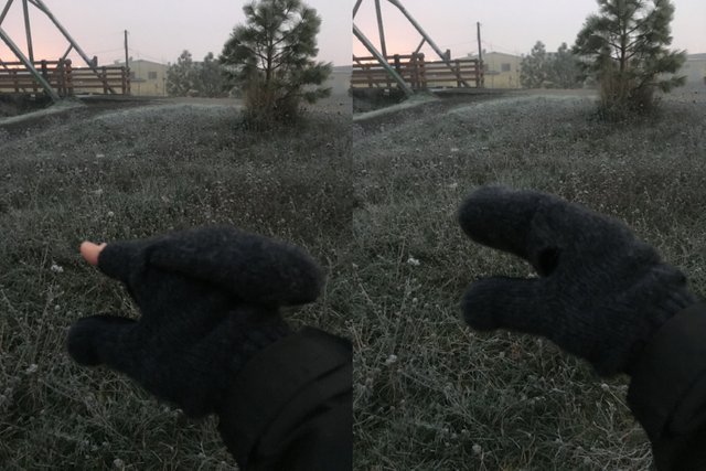 gloves - convert.JPG