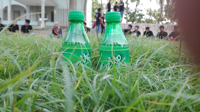 IMG_20170628_150706.jpg