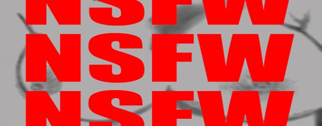 nsfwbanner002.jpg