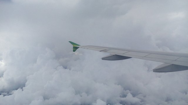 IMG_20170410_143117.jpg