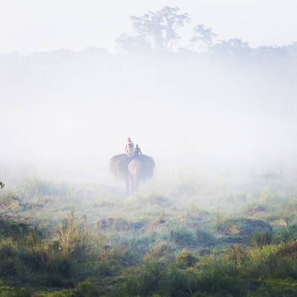 chitwan.jpg