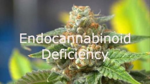 endocannabinoid deficiency.jpg
