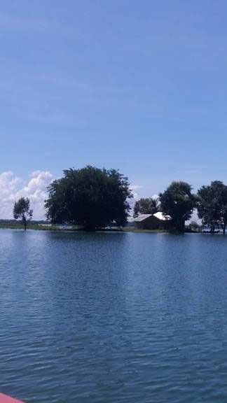 A house on solitary island.jpg