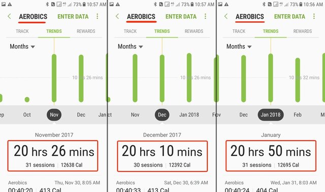 Fitness Challenge - April Report - Aerobic