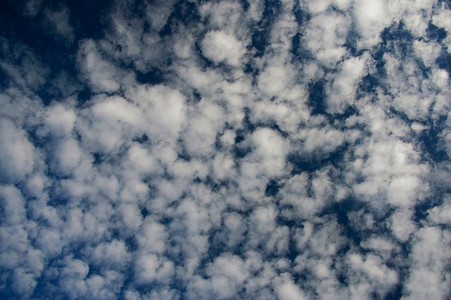 1200px-Altocumulus.jpg