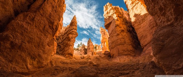 navajo_loop_trail_bryce_canyon_utah-wallpaper-2560x1080.jpg