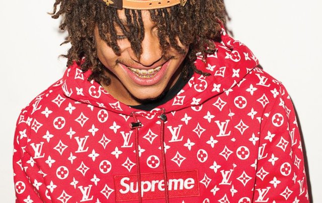 supreme-louis-vuitton-lookbook-09-810x511.jpg