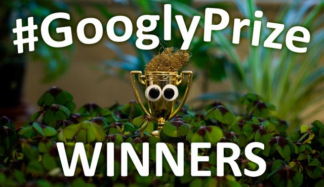 GooglyPrize Winners 25
