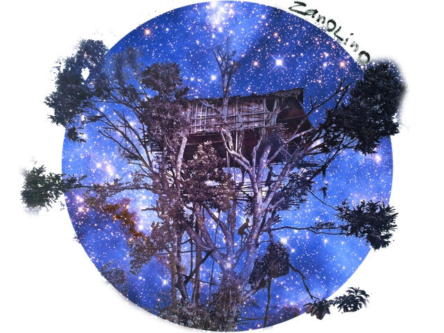 Salgado tree house at night circle with signature.png