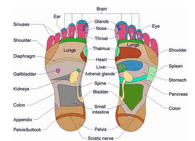 reflexology.x58013.jpg