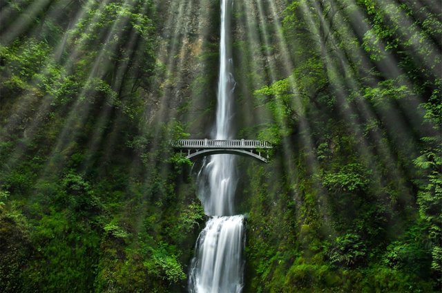 Multnomah-Photo-by-Thomas-Duffy.jpg