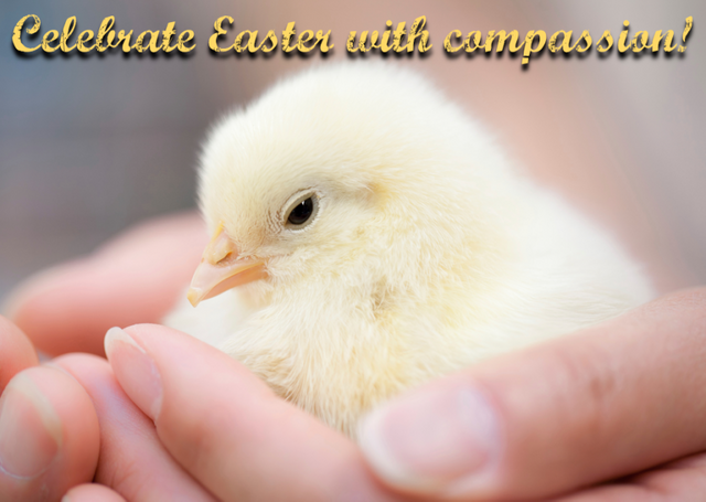 compassionate-Easter-e1458919738150.png