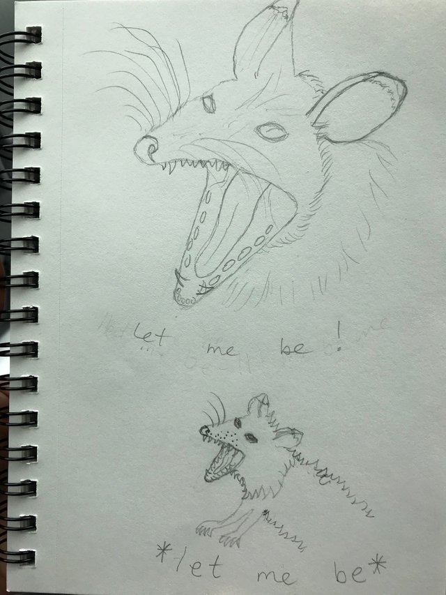 possums pg 1.jpg