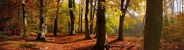 Herbst_Panorama76.jpg