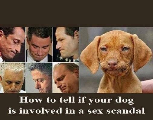 sex-scandal.jpeg