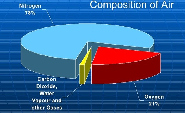 what gases make up the air we breathe