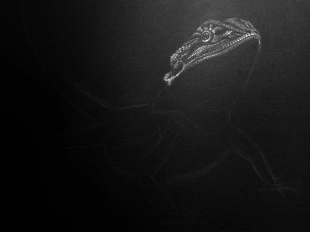 Draw On Black Paper Steemit