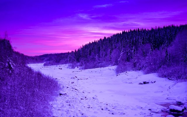 purple-night-winter-landscape.jpg