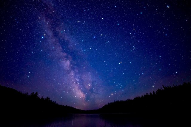 night-clear-bright-blue-white-stars-above-trees (1).jpg
