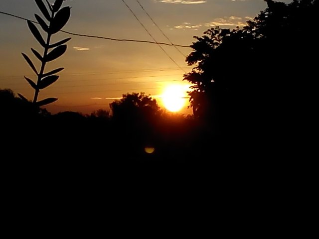 IMG20150610060514.jpg
