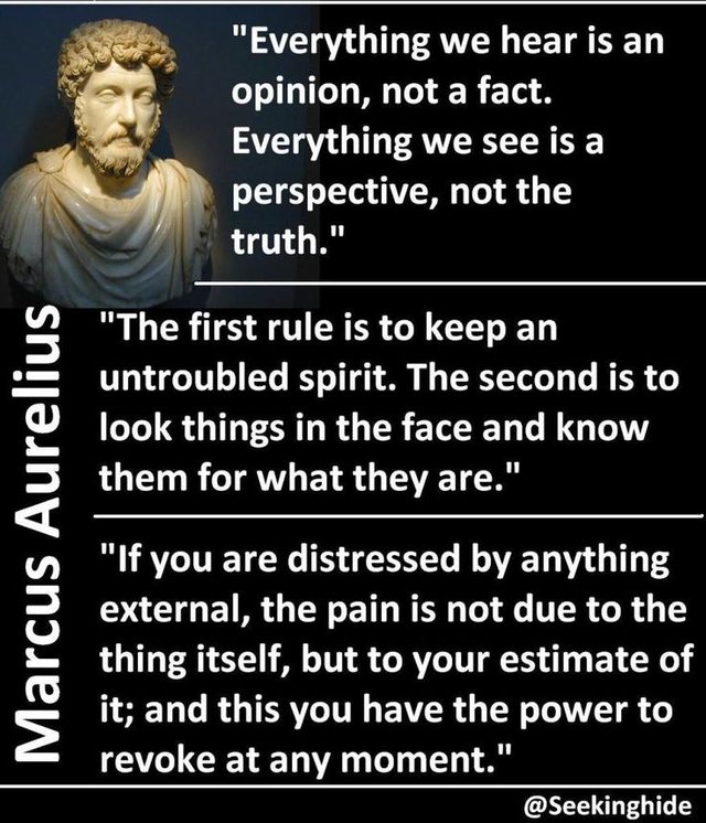 eb842a203269563b34afb8b5d019f8ad--marcus-aurelius-quotes-history-quotes.jpg