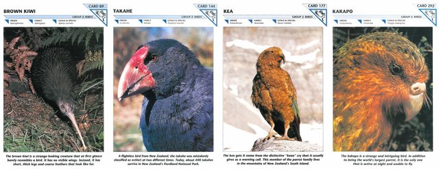 WildlifeFactFile-New_Zealand_birds.png