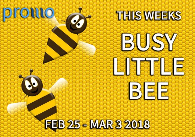 busybee-feb25.jpg