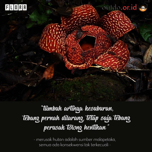 Insta 2.jpg