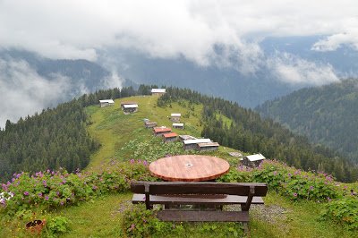 pokut 3.JPG