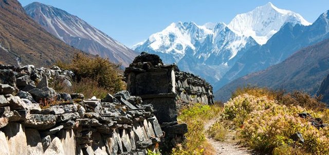 Langtang-Valley-trekking.jpg