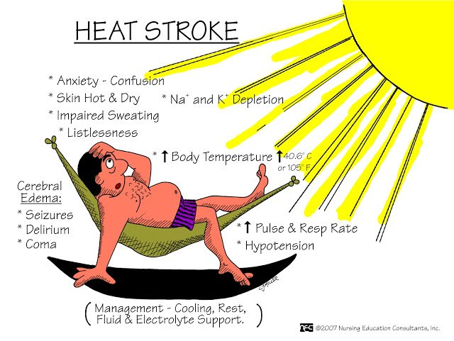 heat-stroke.jpg