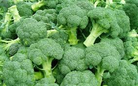 Top Ten Food For Babies Steemit