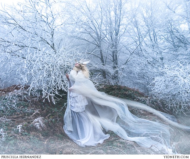 frost queen - by Priscilla Hernandez (yidneth.com)-3.jpg