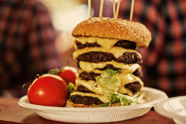 burger-868145.jpg