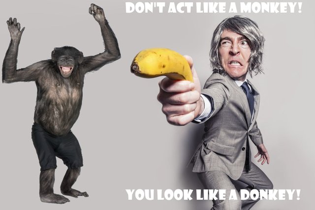 dont act like a monkey donkey.jpg