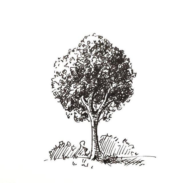 tree_doodle_1.jpg
