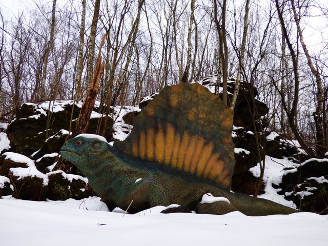 Edaphosaurus 8.JPG