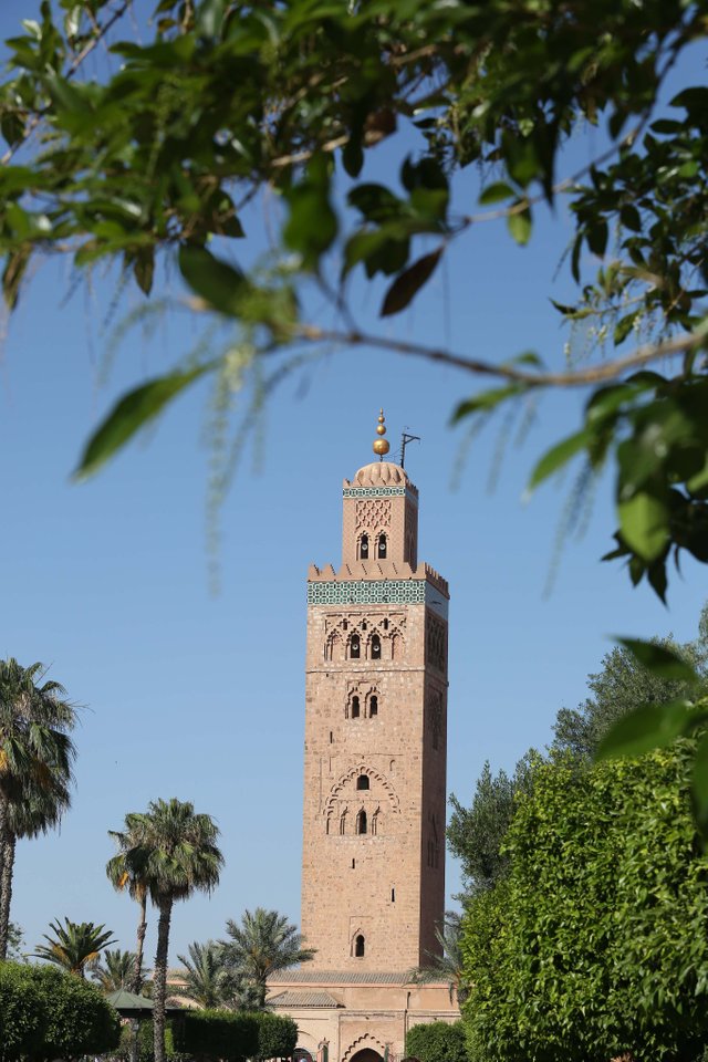 Marrakech 2016 0199.jpg